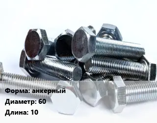 Болт анкерный 60х10